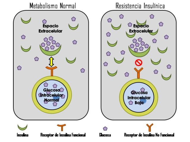 Resistencia a la insulina