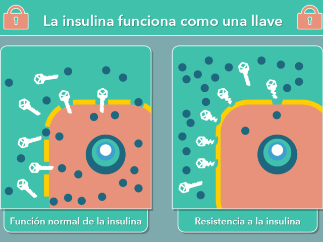 Resistencia a la insulina